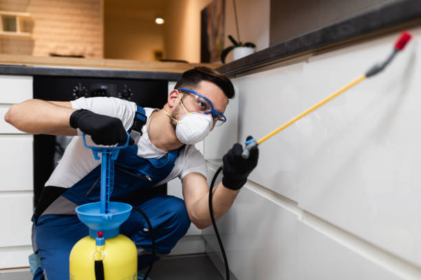 Trusted Martinsville, IN Pest Control Experts