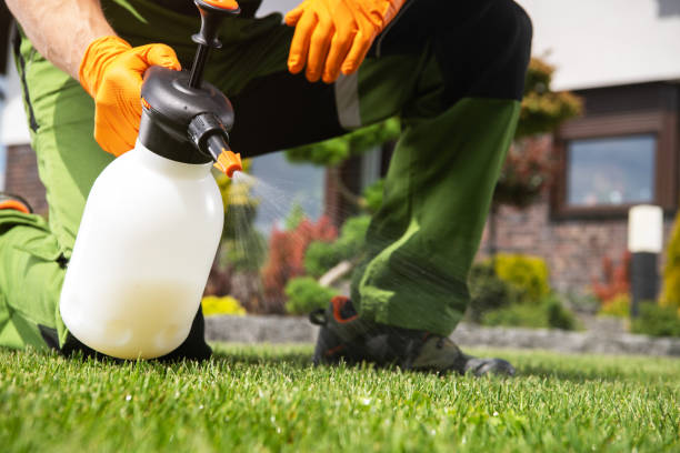 Best Local Pest Control Services  in Martsville, IN