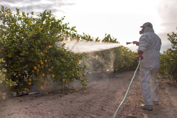 Best Best Pest Control Companies  in Martsville, IN