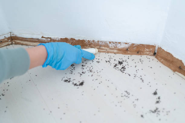 Best Pest Control for Homes  in Martsville, IN
